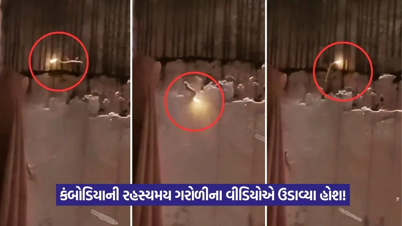 Video: વાસ્તવિકતા કે VFX? કંબોડિયાની 'જાદુઈ' ગરોળીનો વીડિયો ચર્ચામાં! 23 lizard.jpg