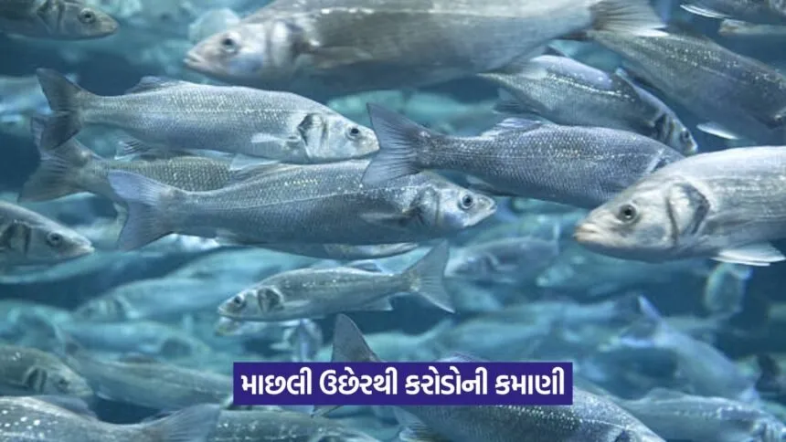 Fish farming success story 1