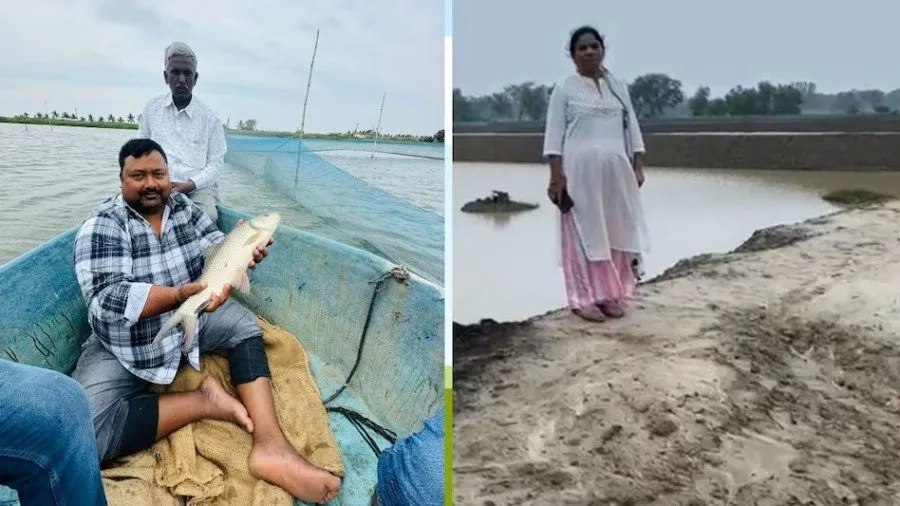 Fish farming success story 2.jpg