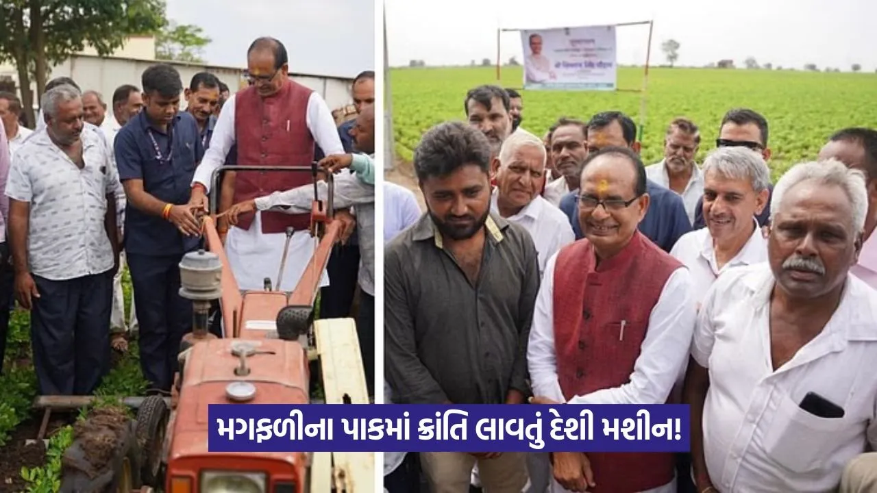 Peanut farming machine 1.jpeg