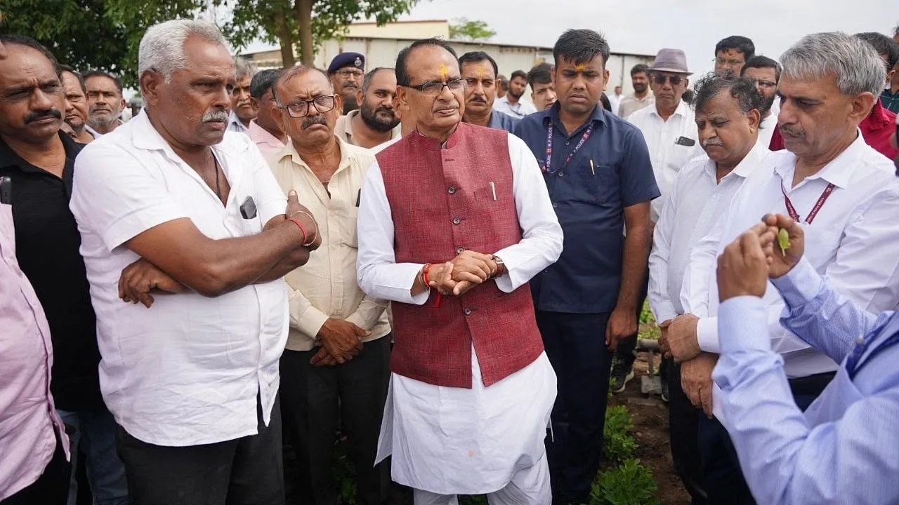 Peanut farming machine 2.jpeg