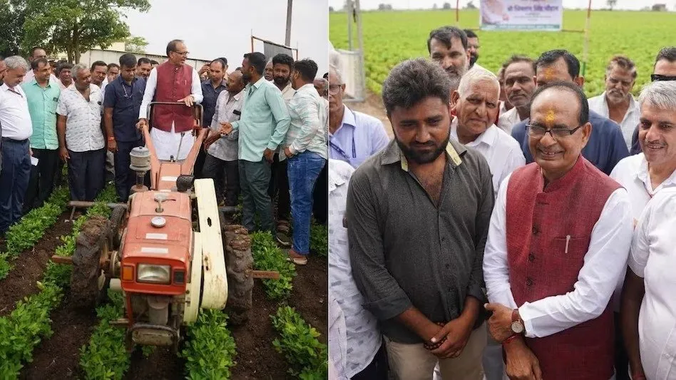 Peanut farming machine 3.jpeg