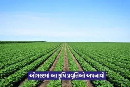 Kharif crop tips 1