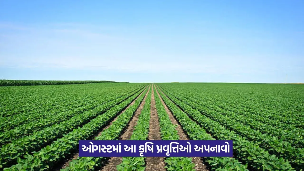 Kharif crop tips 1.jpeg