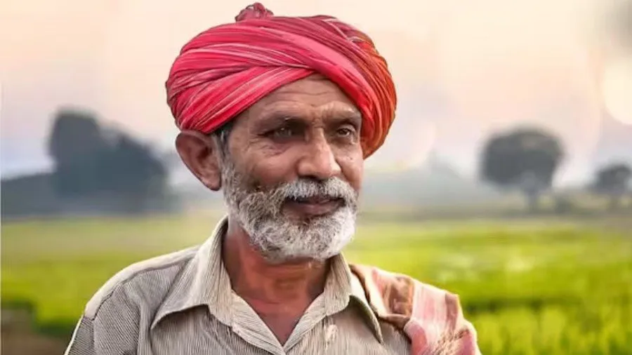 ખરીફ પાક માટે ઓગસ્ટ મહિનો લાવે છે સુવર્ણ તક 2 Kharif crop tips 2.jpg