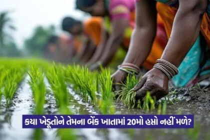 PM Kisan Yojana 1