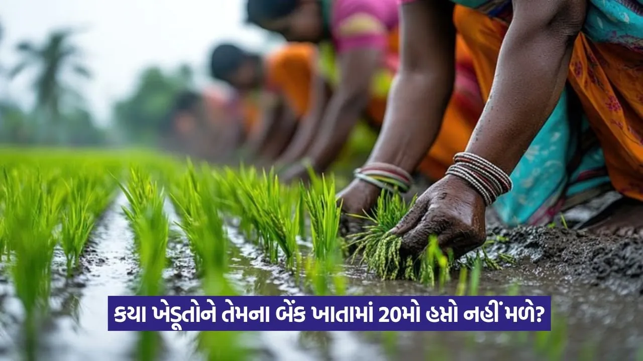 PM Kisan Yojana 1.jpeg