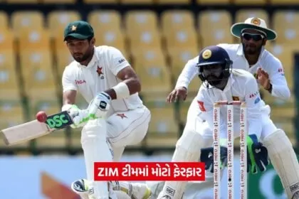 zim