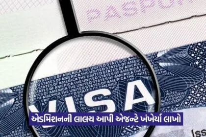 visa fraud 1