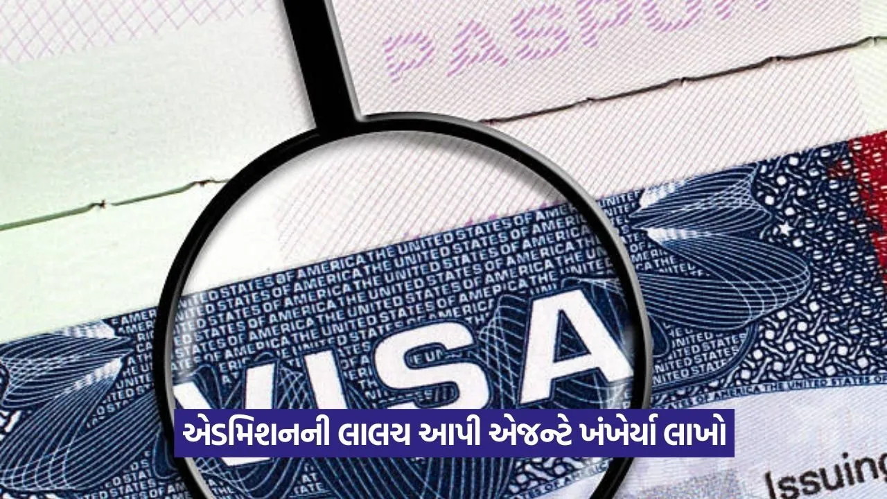 visa fraud 1.jpg