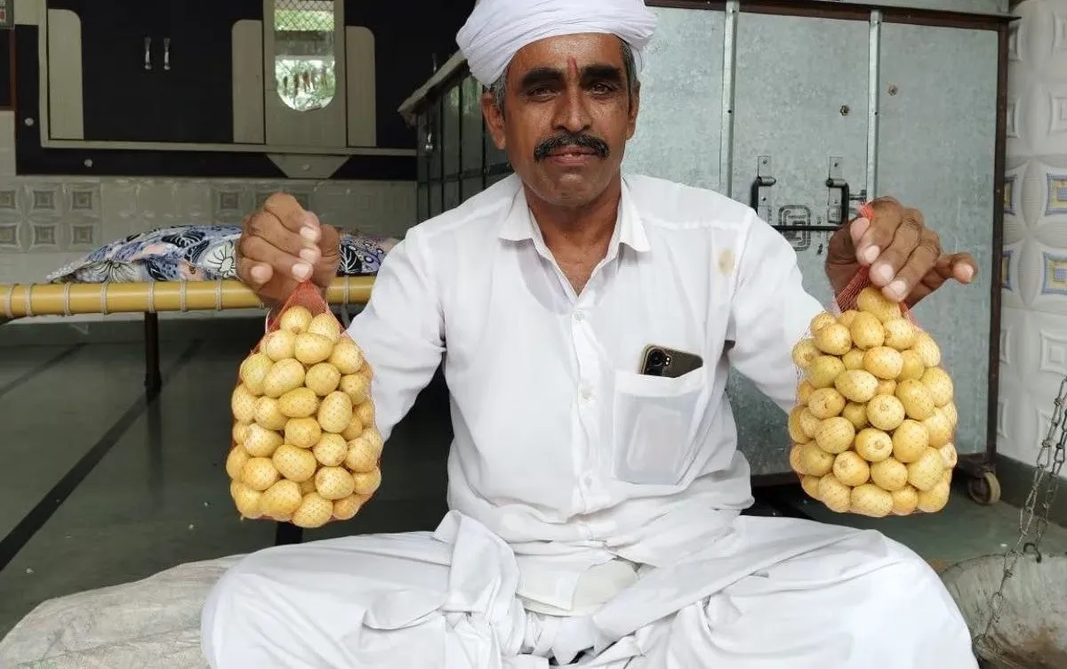 બનાસકાંઠાના ખેડૂતની ખારેક ખેતીથી કમાલ 2 Date farming 2.jpeg