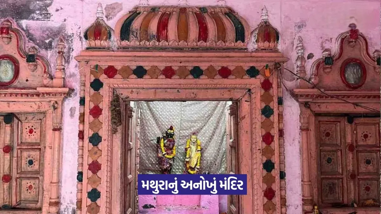 ત્વચાની સમસ્યાઓથી પરેશાન છો? મથુરાના આ અનોખા મંદિરની મુલાકાત લો! 23 mauthra.jpg