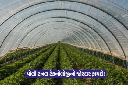 Poly Tunnel Farming 1