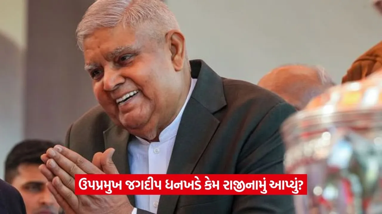 dhankhad.jpg