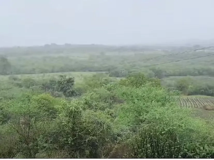 જુલાઈના છેલ્લાં દિવસોમાં ભારે વરસાદની આગાહી 3 Ambalal Patel rain forecast 4.jpeg