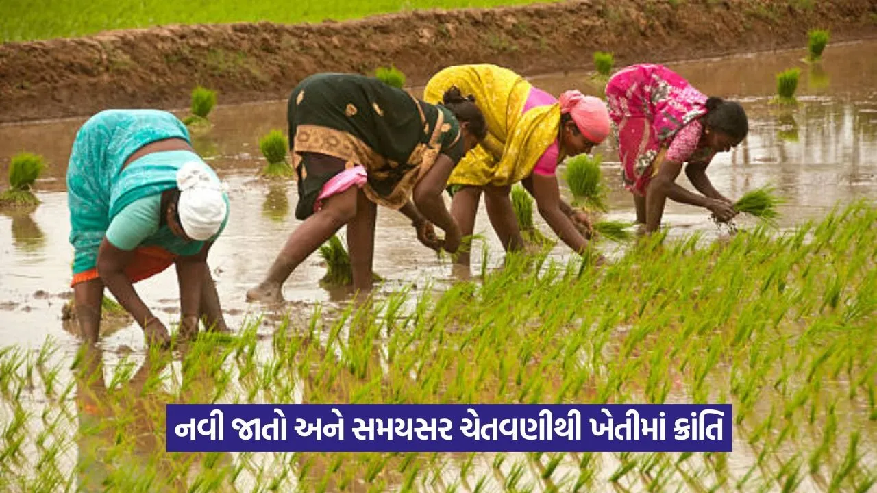 climate resilient seeds 1.jpeg