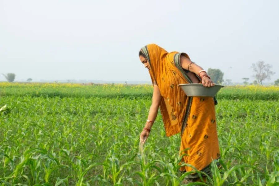 PM Kisan Yojana 3.jpg