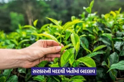 organic farming schemes 1
