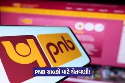 pnb users
