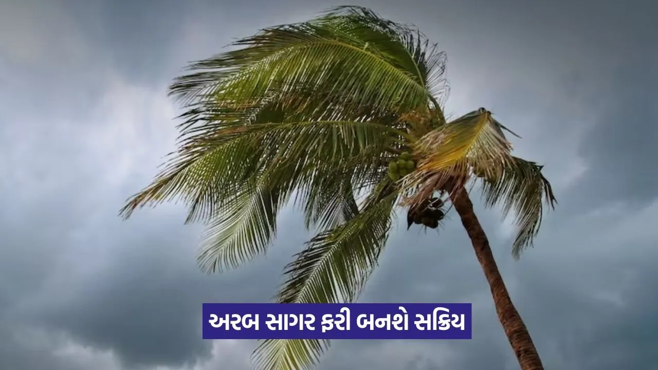 Arabian Sea activation 1.jpeg