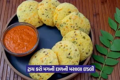 idli2
