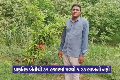 natural farming success 1