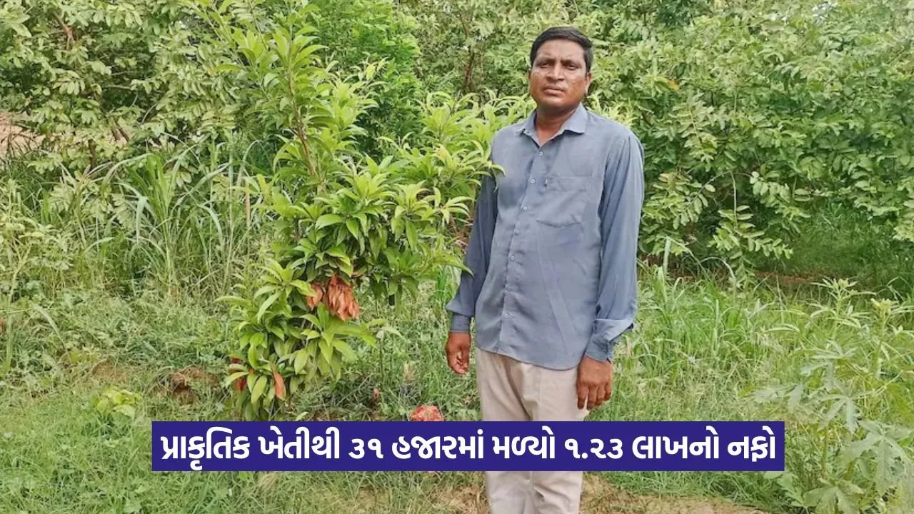natural farming success 1.jpeg