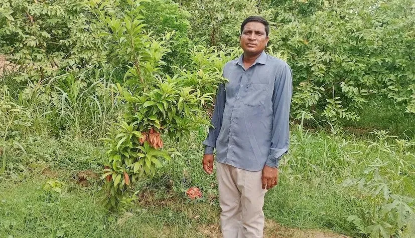 પ્રાકૃતિક ખેતીથી શૈલેષભાઈએ મેળવી ચમત્કારિક સફળતા 3 natural farming success 2.jpeg