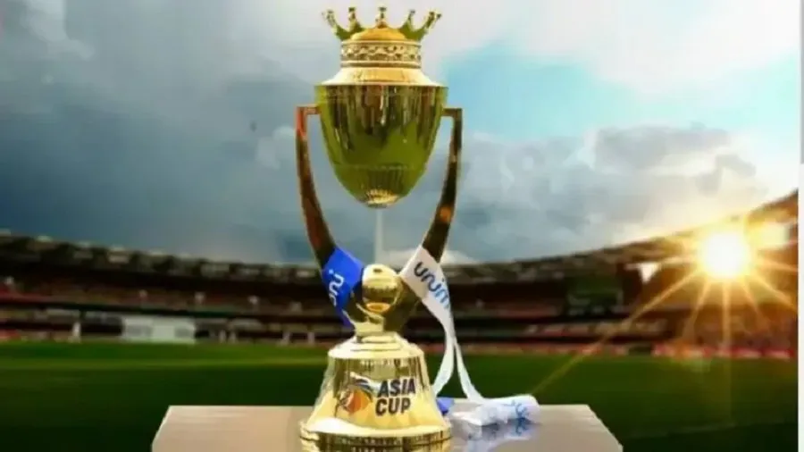 cup.jpg
