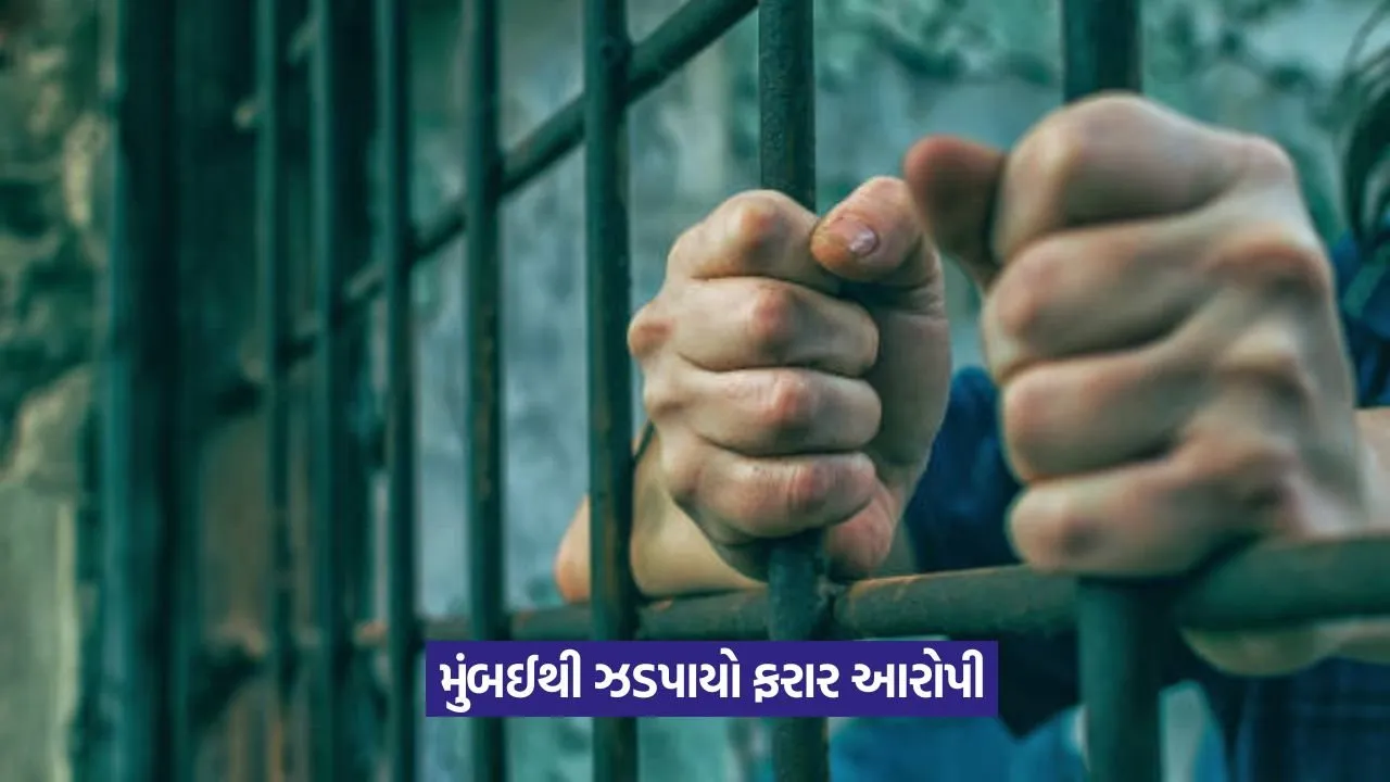 fugitive gangster arrest 1.jpeg