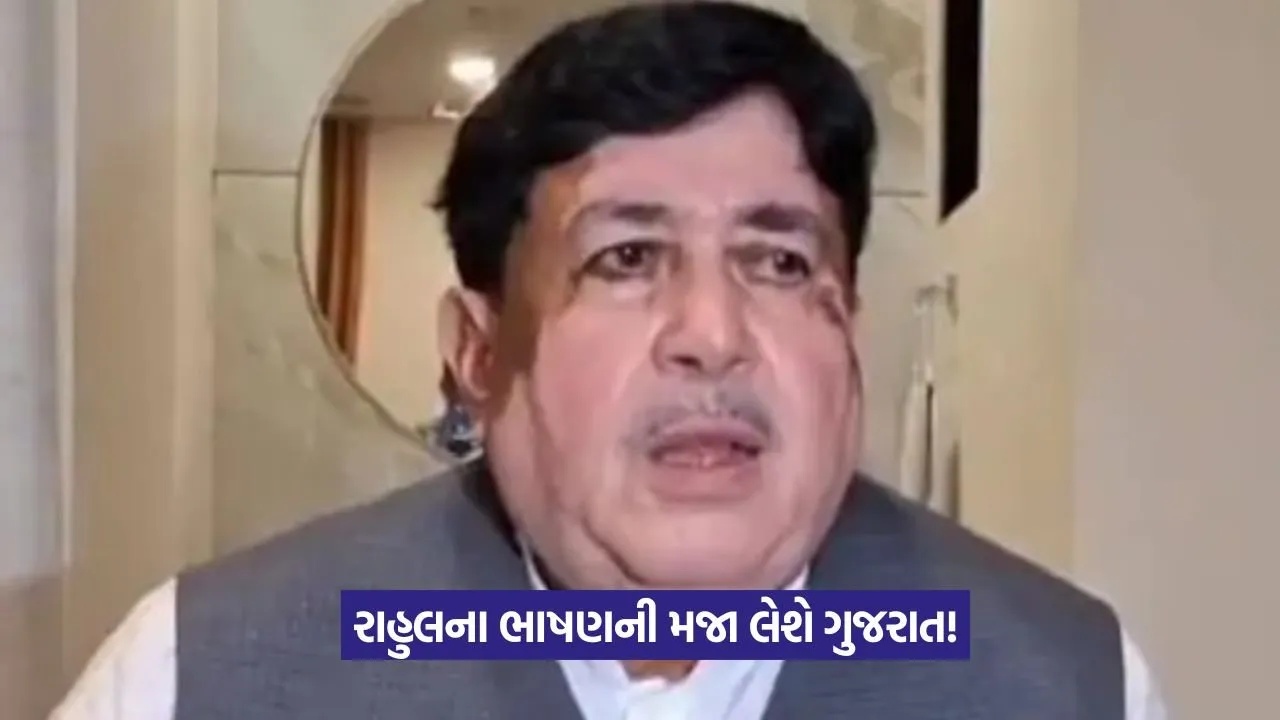 Rahul Gandhi Gujarat Visit 3.jpeg