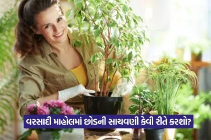 Monsoon Gardening Tips 1