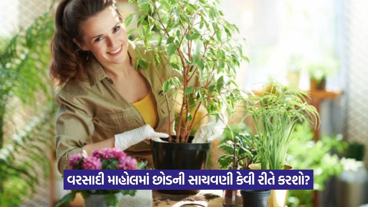 Monsoon Gardening Tips 1.jpeg