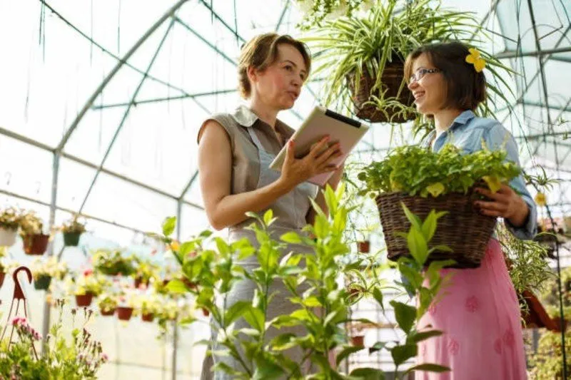 Monsoon Gardening Tips 2.jpg