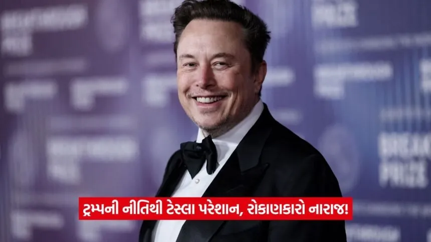 ELON MUSK 13