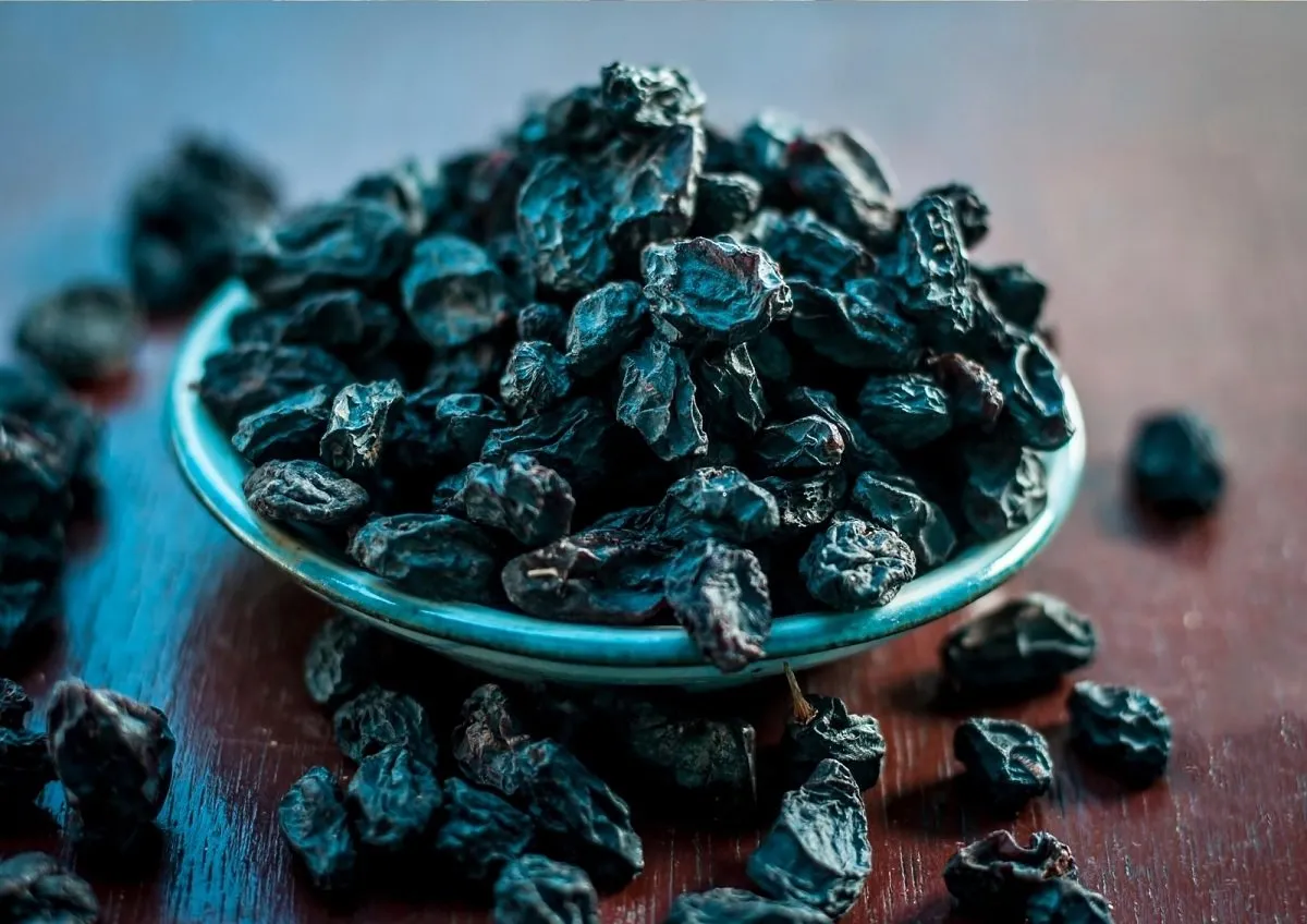 RAISIN 13.jpg