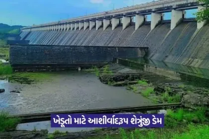 Shetrunji Dam irrigation Gujarat 1