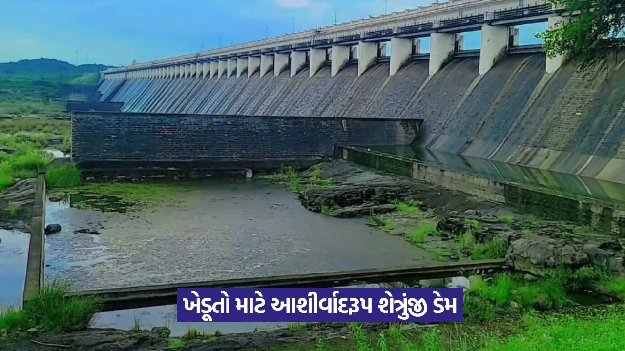 Shetrunji Dam irrigation Gujarat 1.jpeg