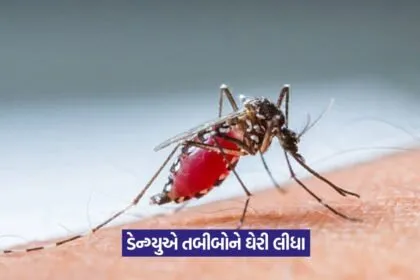 Dengue outbreak in hospital 1