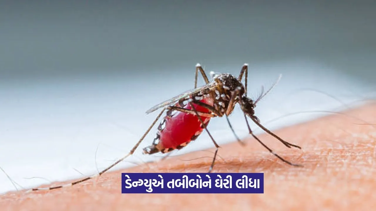 Dengue outbreak in hospital 1.jpeg