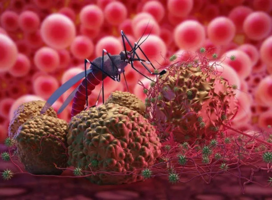 Dengue outbreak in hospital 2.jpg