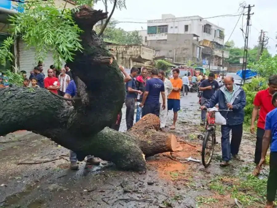 Valsad Tree Accident Student Death.jpg