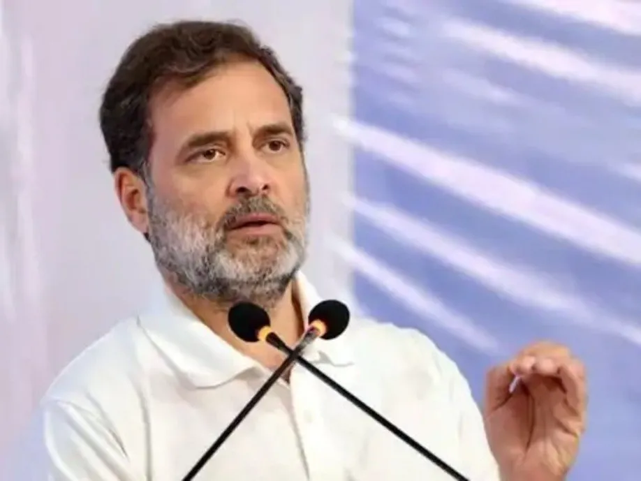 રાજનાથ સિંહનો રાહુલ ગાંધી પર વ્યંગ 3 Rahul Gandhi ticket distribution announcement 2.jpg