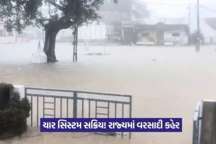 Ambalal Patel Rain Forecast 5