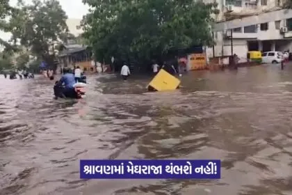 Heavy Rain in Gujarat 1