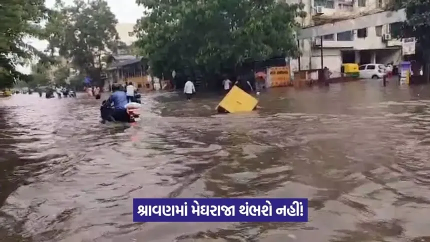 Heavy Rain in Gujarat 1