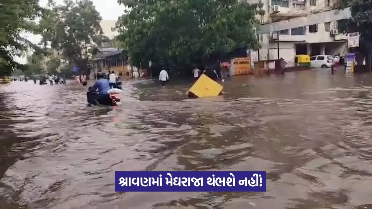 Heavy Rain in Gujarat 1.jpeg
