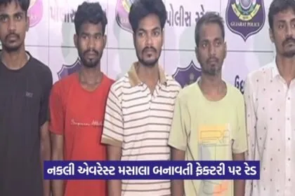duplicate Everest Masala factory in Surat