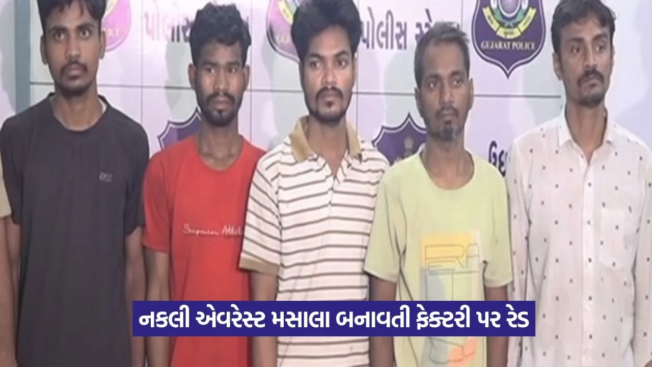 duplicate Everest Masala factory in Surat.jpeg