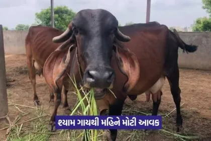 Animal Husbandry Success Story 1